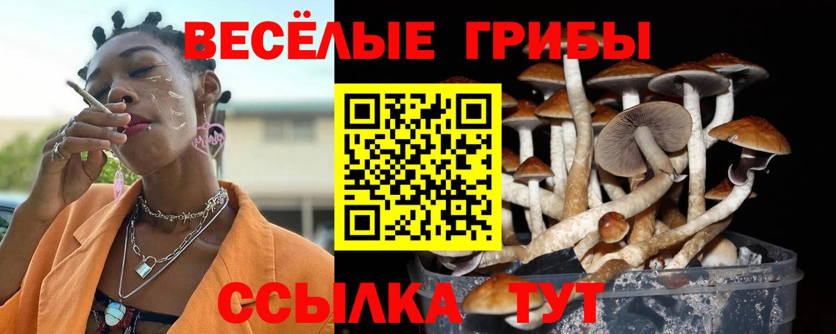 Галлюциногенные грибы Magic Shrooms  Вход с VPN  цены   Псилоцибиновые грибы ЛСД  Стрежевой 